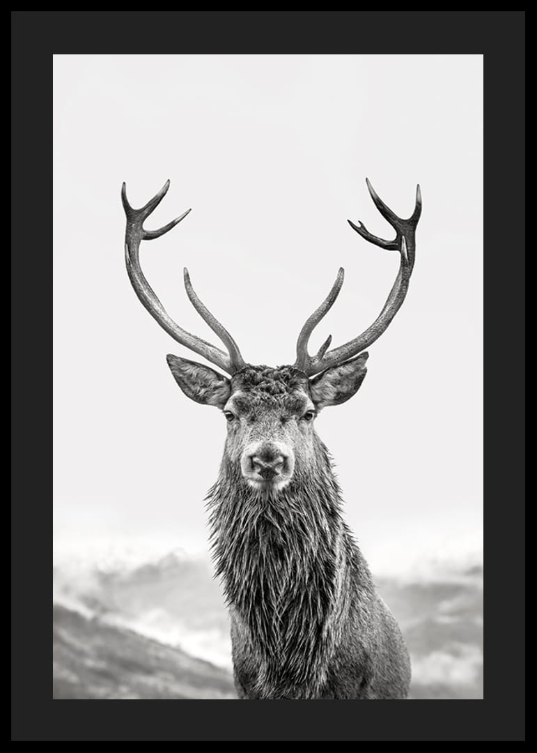 A proud deer with mighty antlers stands in its natural environment, symbolizing nature's timeless elegance and strength-12