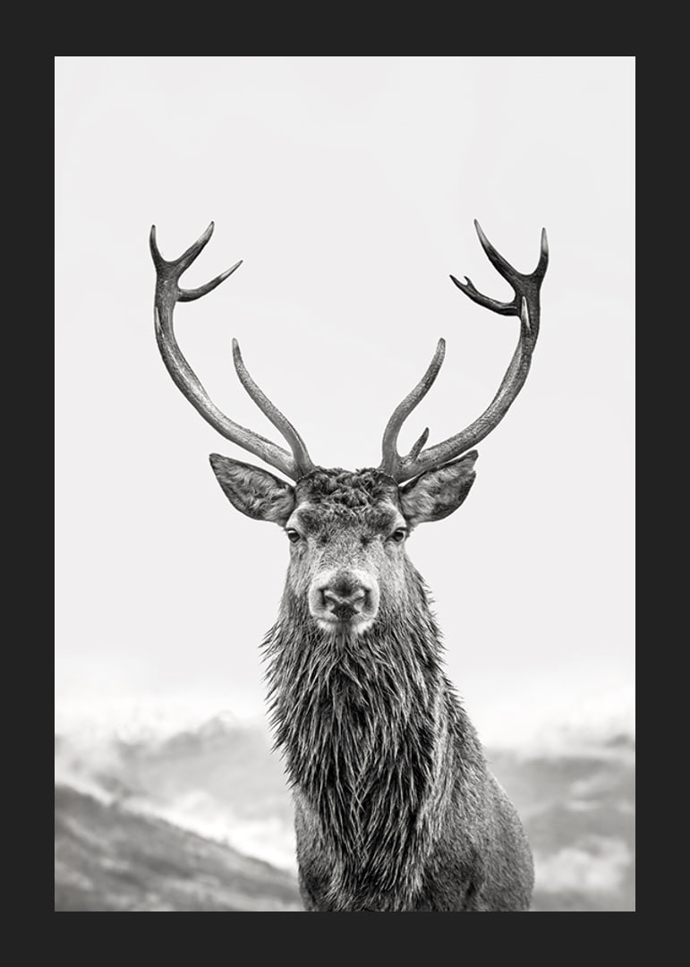 A proud deer with mighty antlers stands in its natural environment, symbolizing nature's timeless elegance and strength-12