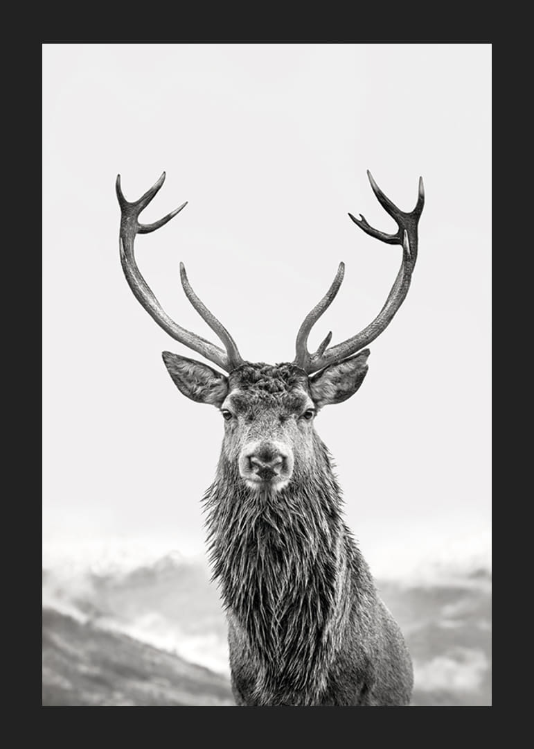 A proud deer with mighty antlers stands in its natural environment, symbolizing nature's timeless elegance and strength-12