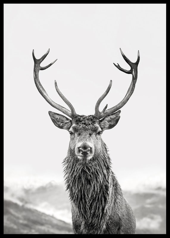 A proud deer with mighty antlers stands in its natural environment, symbolizing nature's timeless elegance and strength-12