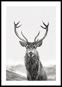 A proud deer with mighty antlers stands in its natural environment, symbolizing nature's timeless elegance and strength-0