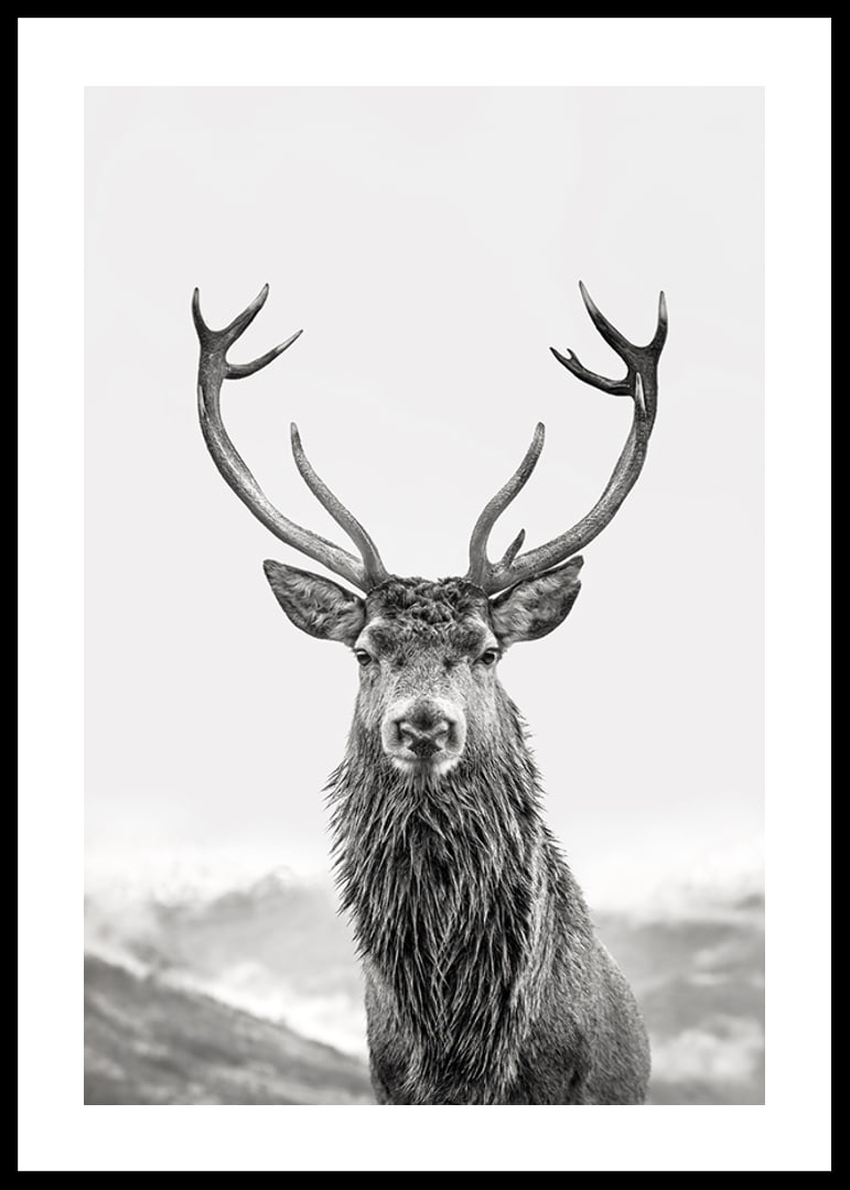 A proud deer with mighty antlers stands in its natural environment, symbolizing nature's timeless elegance and strength-12