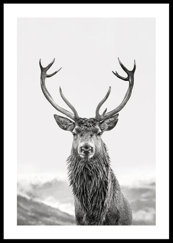 Poster Guardian Of The Forest