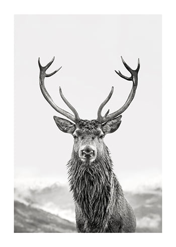 Poster Guardian Of The Forest