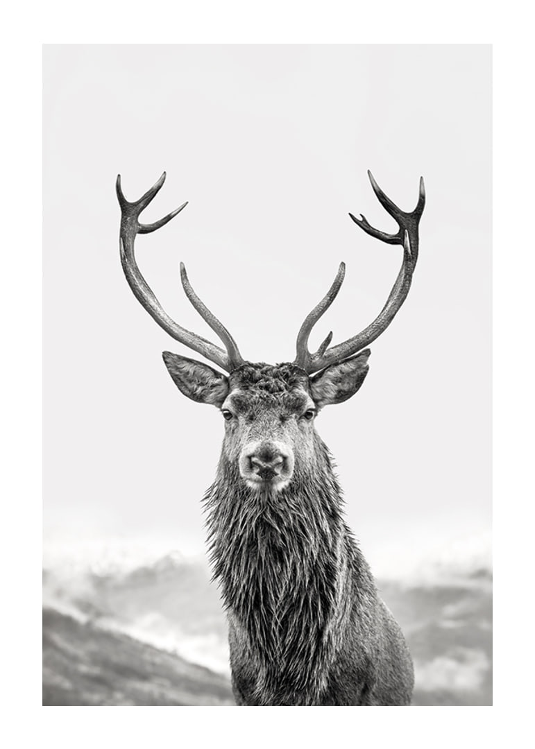 A proud deer with mighty antlers stands in its natural environment, symbolizing nature's timeless elegance and strength-12