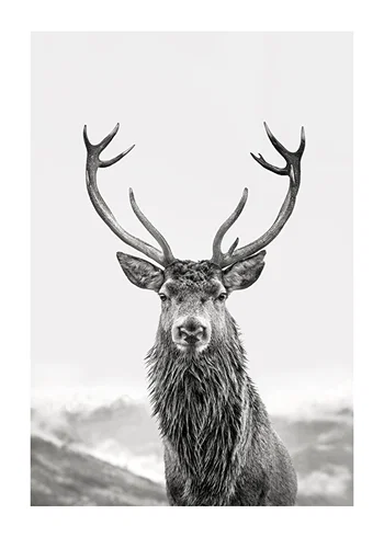 Poster Guardian Of The Forest