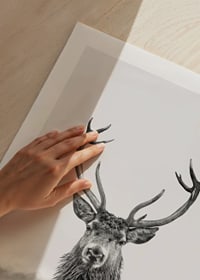A proud deer with mighty antlers stands in its natural environment, symbolizing nature's timeless elegance and strength-9