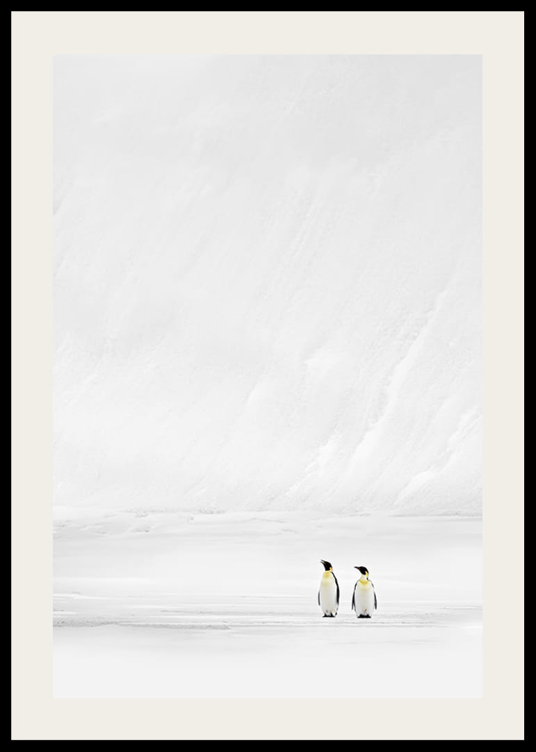 Två pingviner står tillsammans i ett oändligt, snöklätt landskap och förmedlar stillhet och samhörighet-12