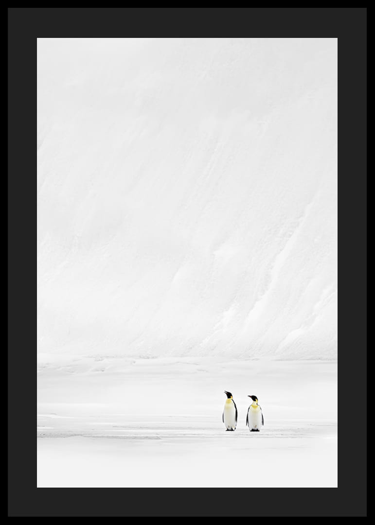Två pingviner står tillsammans i ett oändligt, snöklätt landskap och förmedlar stillhet och samhörighet-12