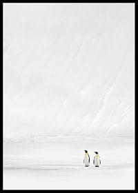 Zwei Pinguine stehen zusammen in einer endlosen, schneebedeckten Landschaft und vermitteln Stille und Zusammengehörigkeit-6