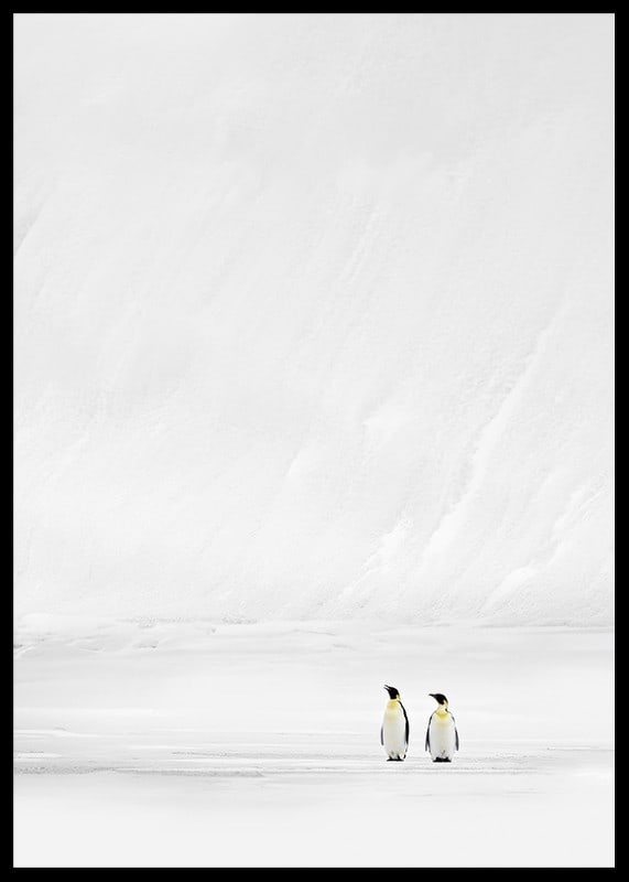 Zwei Pinguine stehen zusammen in einer endlosen, schneebedeckten Landschaft und vermitteln Stille und Zusammengehörigkeit-12