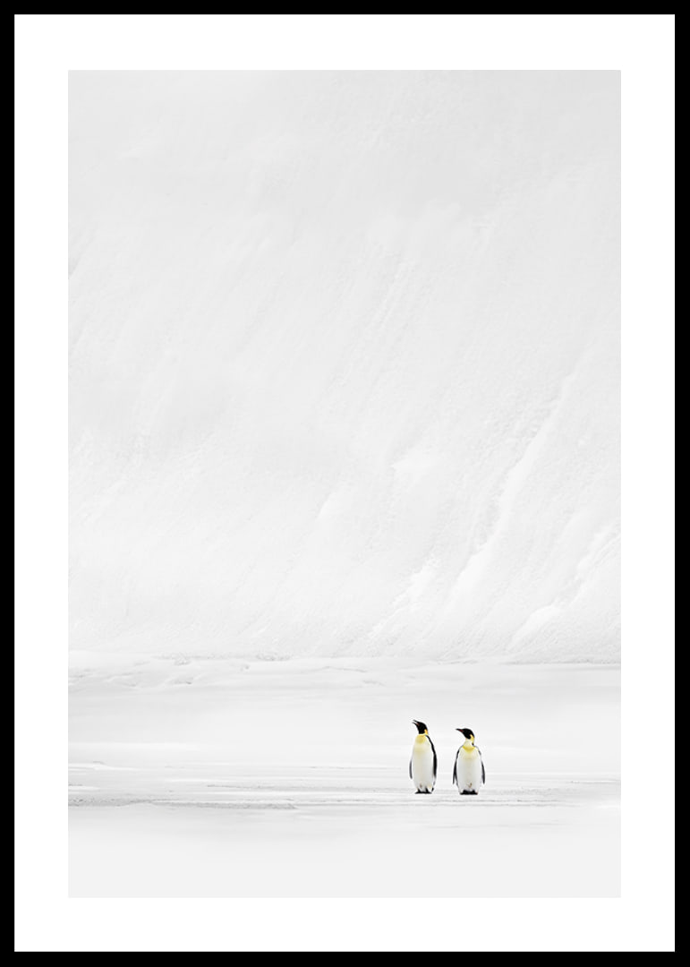 Zwei Pinguine stehen zusammen in einer endlosen, schneebedeckten Landschaft und vermitteln Stille und Zusammengehörigkeit-12