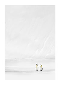 Zwei Pinguine stehen zusammen in einer endlosen, schneebedeckten Landschaft und vermitteln Stille und Zusammengehörigkeit-1