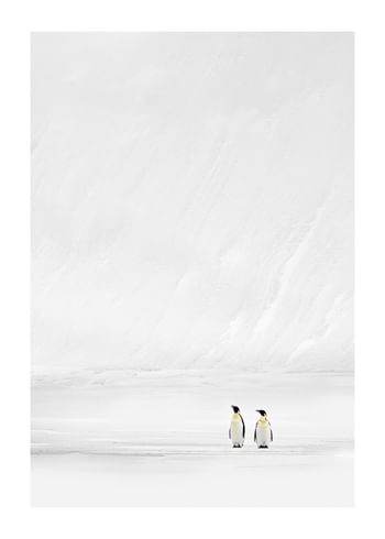 Plagát Companions In The Cold