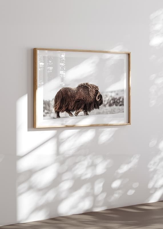 Juliste Winters Titan crossfade