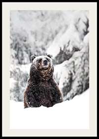 En ståtlig björn står i ett snöklätt landskap, symboliserande naturens kraft och vinterns stillhet-2