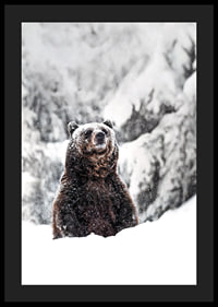 En ståtlig björn står i ett snöklätt landskap, symboliserande naturens kraft och vinterns stillhet-4