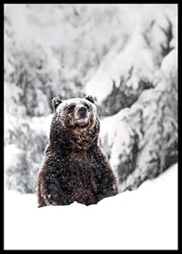 En ståtlig björn står i ett snöklätt landskap, symboliserande naturens kraft och vinterns stillhet-6