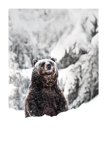 Poster Winters Majesty