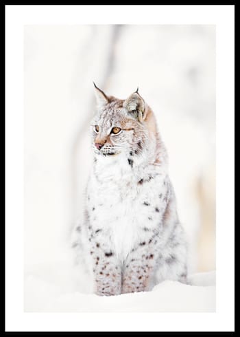 Poster Winters Guardian