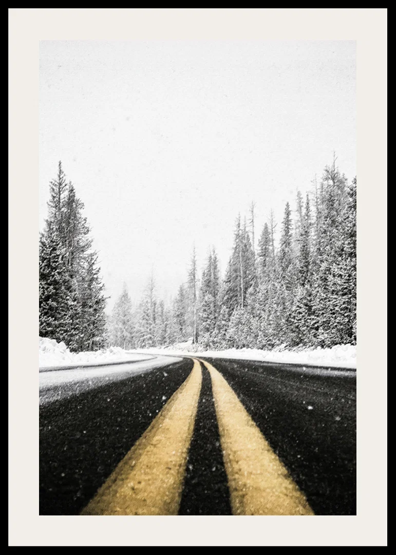 A desolate winter road winds through a snow-covered forest-12