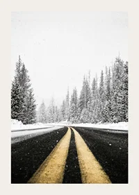 A desolate winter road winds through a snow-covered forest-3