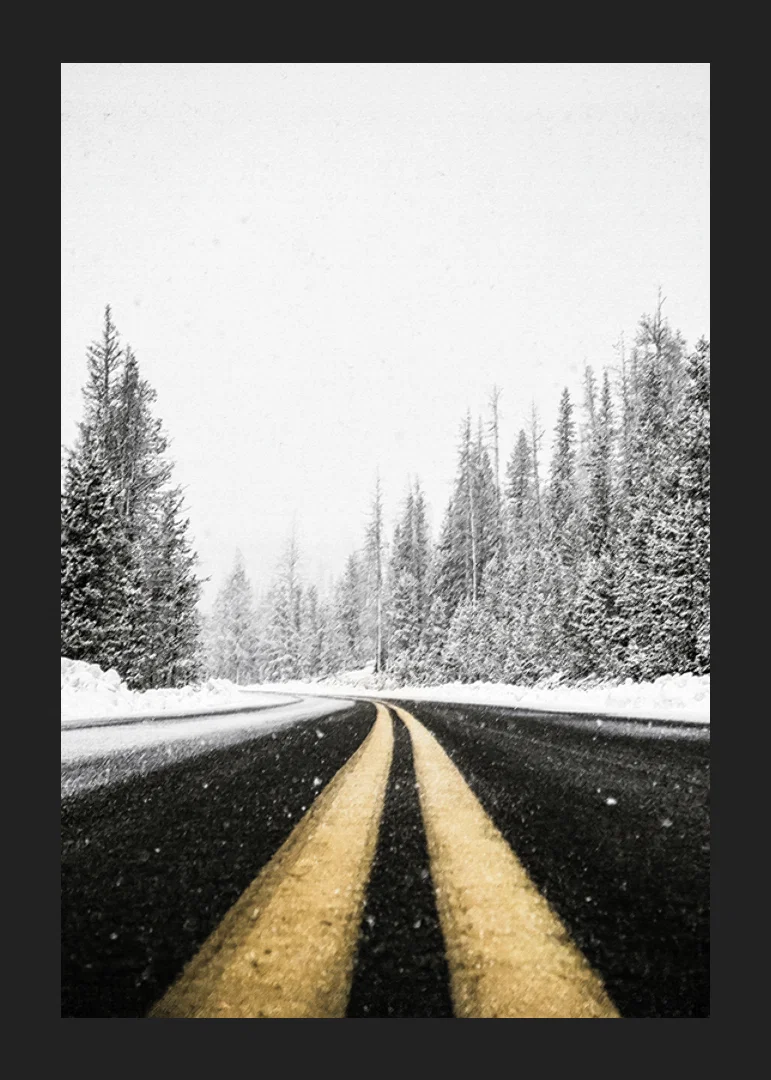 A desolate winter road winds through a snow-covered forest-12