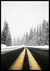 A desolate winter road winds through a snow-covered forest-6