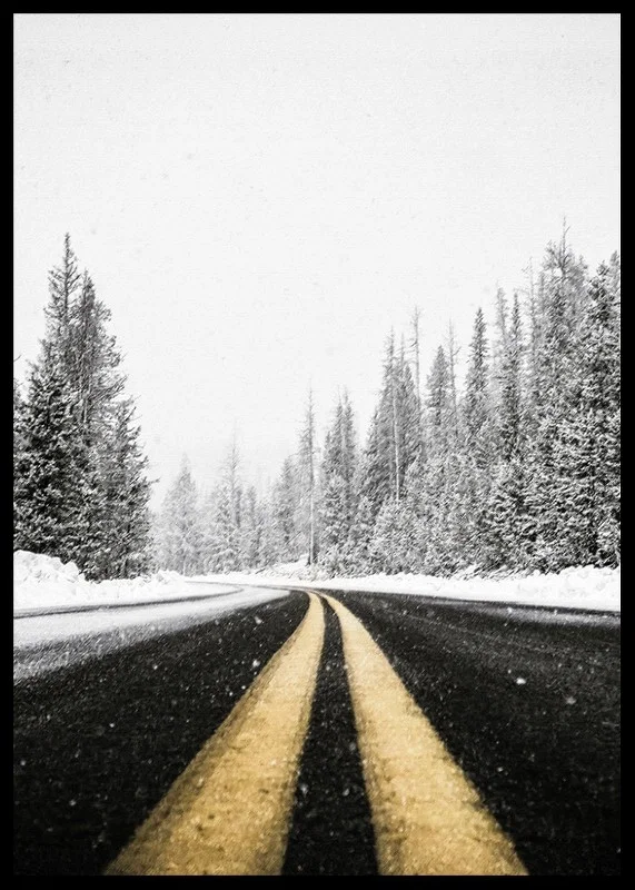 A desolate winter road winds through a snow-covered forest-12