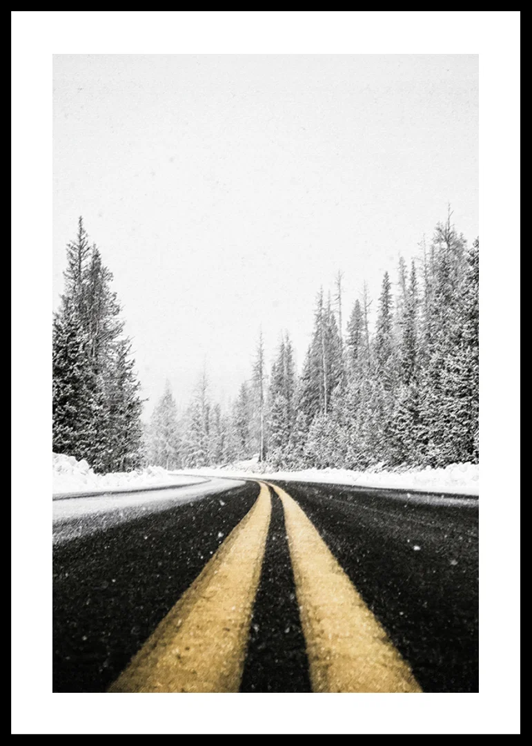 A desolate winter road winds through a snow-covered forest-12