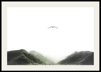 A lone bird hovers over mist-shrouded mountain peaks, capturing the stillness of freedom and nature-2