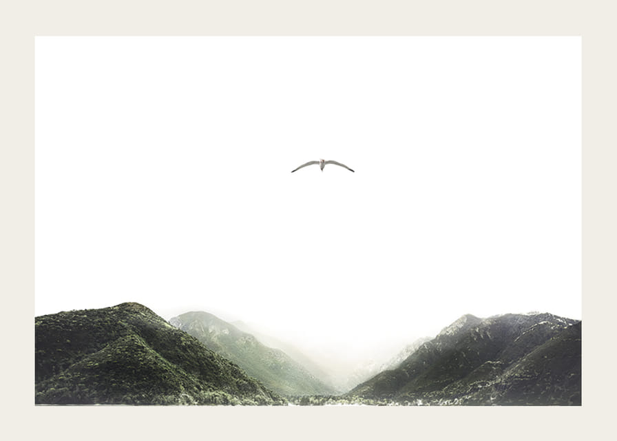 A lone bird hovers over mist-shrouded mountain peaks, capturing the stillness of freedom and nature-12