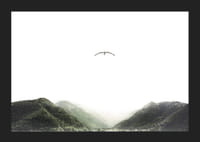 A lone bird hovers over mist-shrouded mountain peaks, capturing the stillness of freedom and nature-5