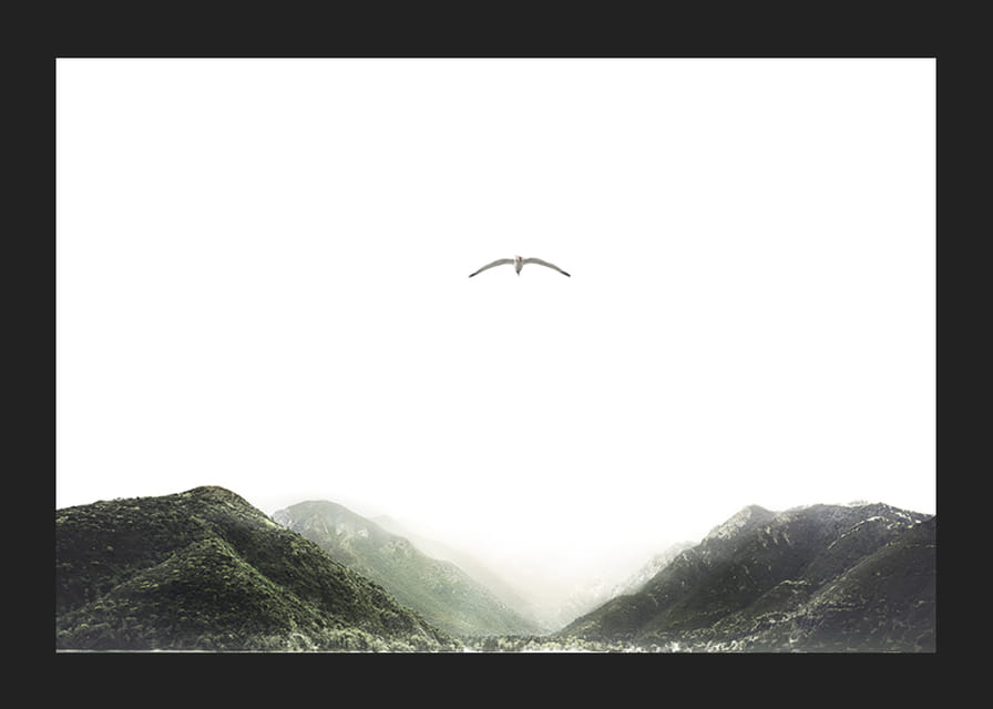 A lone bird hovers over mist-shrouded mountain peaks, capturing the stillness of freedom and nature-12
