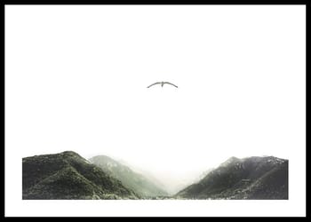 Plagát Solitary Flight