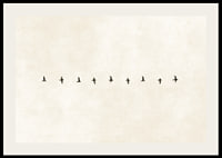 En minimalistisk skildring av fåglar i harmonisk formation, som förmedlar frihet och stillhet.-2