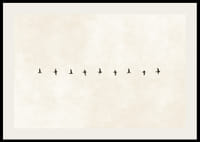 Minimalistyczne przedstawienie ptaków w harmonijnym ułożeniu, niosące ze sobą wolność i spokój.-2