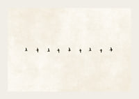 En minimalistisk skildring av fåglar i harmonisk formation, som förmedlar frihet och stillhet.-3