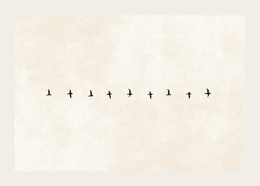 En minimalistisk skildring av fåglar i harmonisk formation, som förmedlar frihet och stillhet.-12