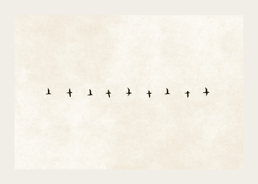 Minimalistyczne przedstawienie ptaków w harmonijnym ułożeniu, niosące ze sobą wolność i spokój.-12