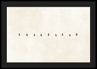 En minimalistisk skildring av fåglar i harmonisk formation, som förmedlar frihet och stillhet.-4