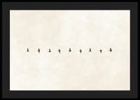 Minimalistyczne przedstawienie ptaków w harmonijnym ułożeniu, niosące ze sobą wolność i spokój.-4