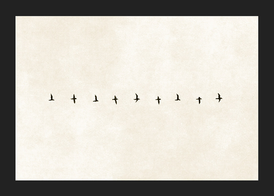 En minimalistisk skildring av fåglar i harmonisk formation, som förmedlar frihet och stillhet.-12