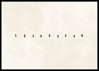 En minimalistisk skildring av fåglar i harmonisk formation, som förmedlar frihet och stillhet.-6