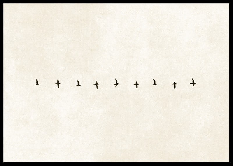 En minimalistisk skildring av fåglar i harmonisk formation, som förmedlar frihet och stillhet.-12