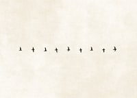En minimalistisk skildring av fåglar i harmonisk formation, som förmedlar frihet och stillhet.-7