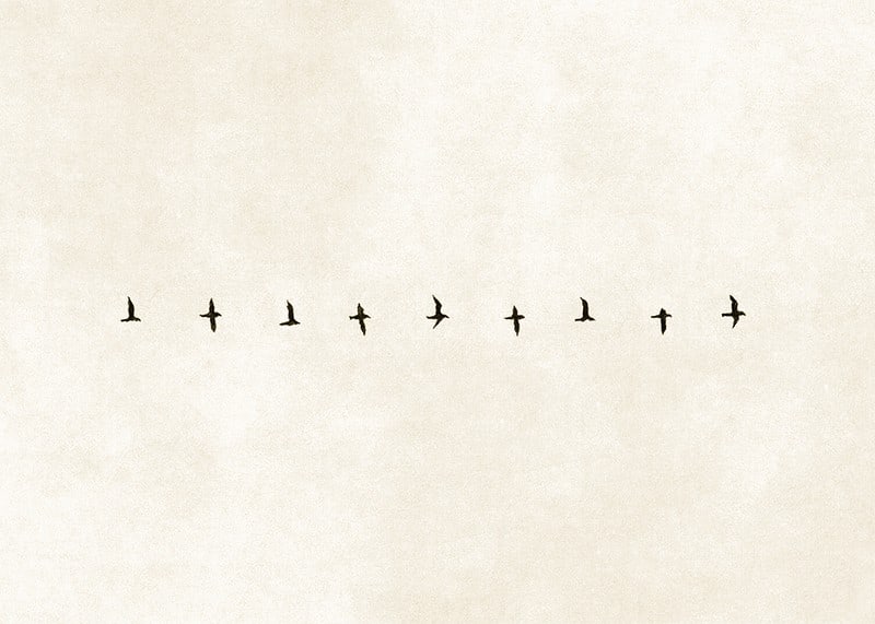 En minimalistisk skildring av fåglar i harmonisk formation, som förmedlar frihet och stillhet.-12