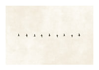 En minimalistisk skildring av fåglar i harmonisk formation, som förmedlar frihet och stillhet.-1