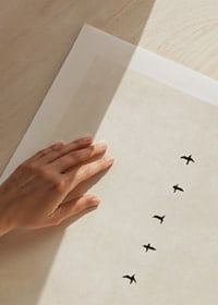 En minimalistisk skildring av fåglar i harmonisk formation, som förmedlar frihet och stillhet.-9