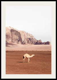 Yksinäinen kameli vaeltelee hiljaisessa aavikkomaisemassa, jota ympäröivät mahtavat kalliot ja ajattoman vapauden tunne.-2